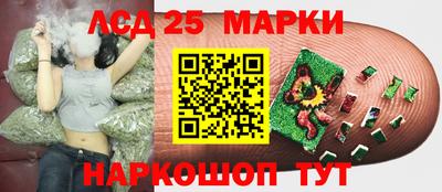 хмурый Апшеронск