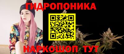 хмурый Апшеронск