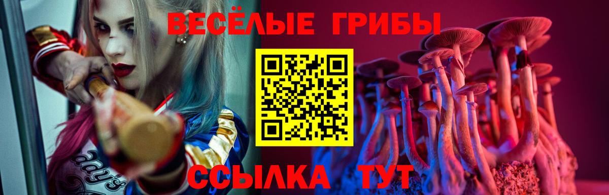 Галлюциногенные грибы ЛСД  Вход с VPN  купить   Архангельск 